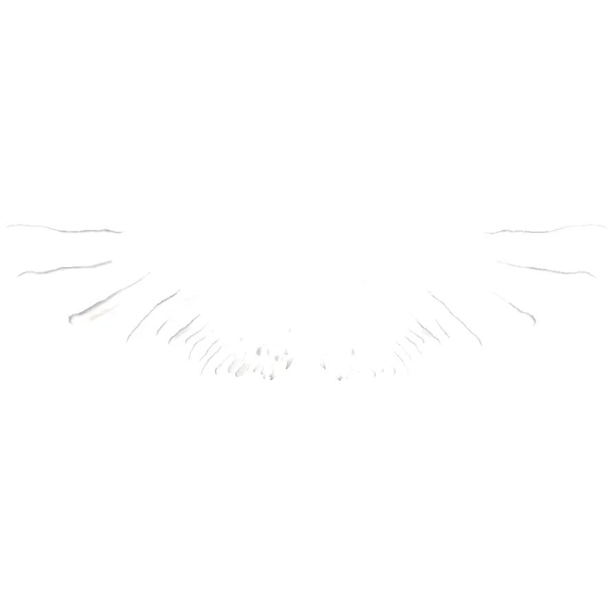 Angel Wings