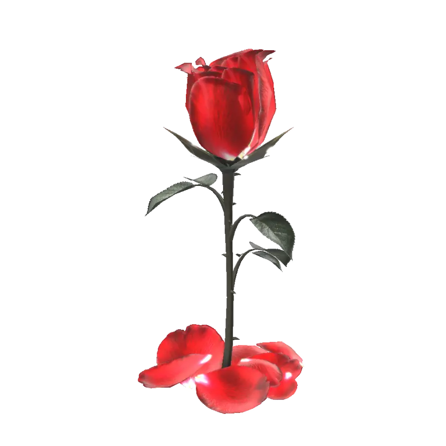 Red Rose