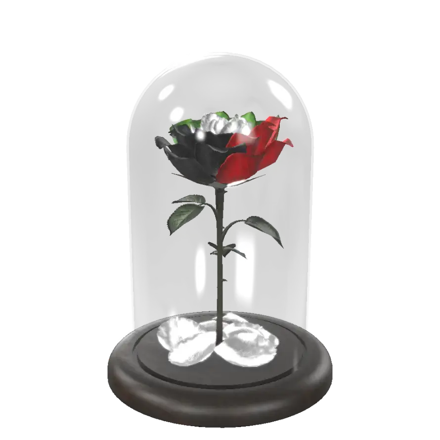 UAE Rose