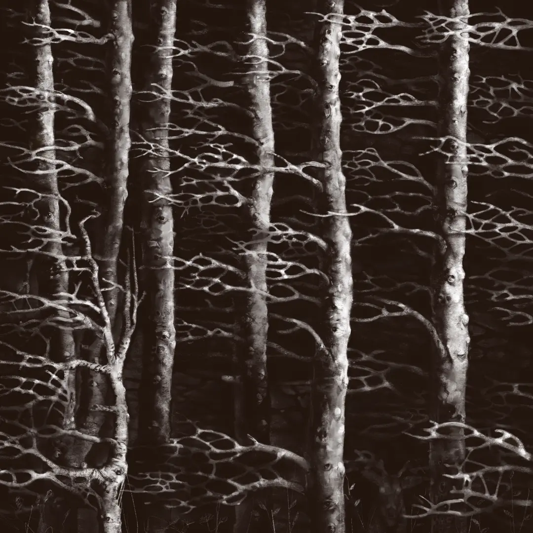 Wind